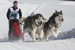 Kandersteg 2013